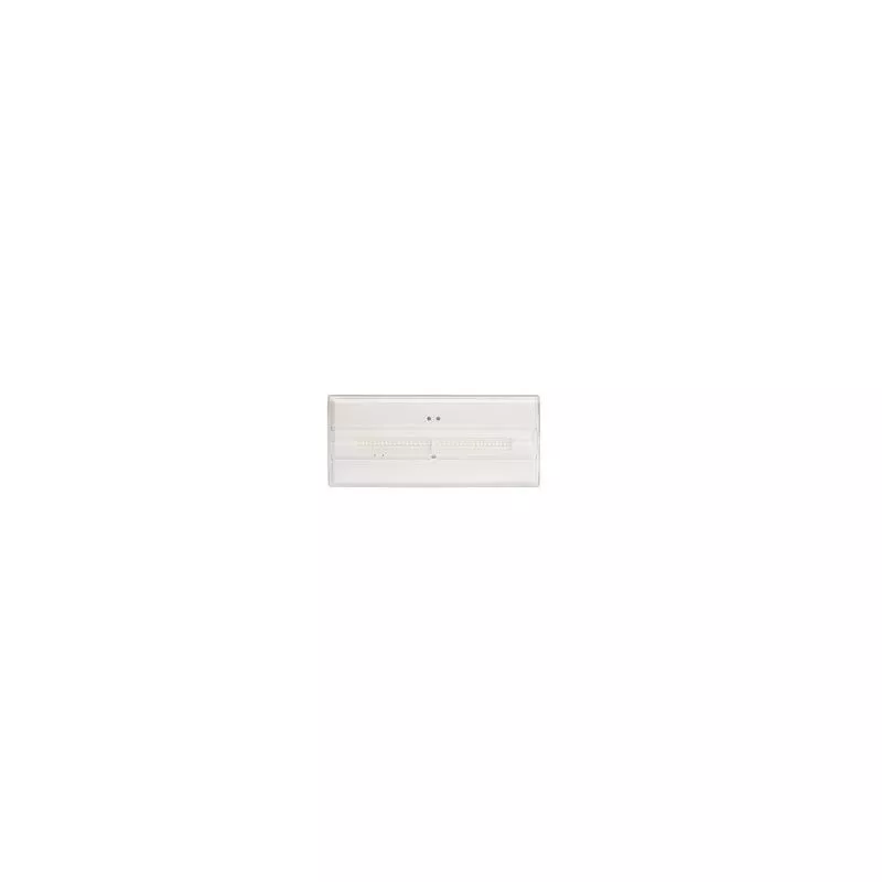 Luminaria DIANA FLAT 150lm autonomía 1h no permanente LDF3150C - Zemper barato