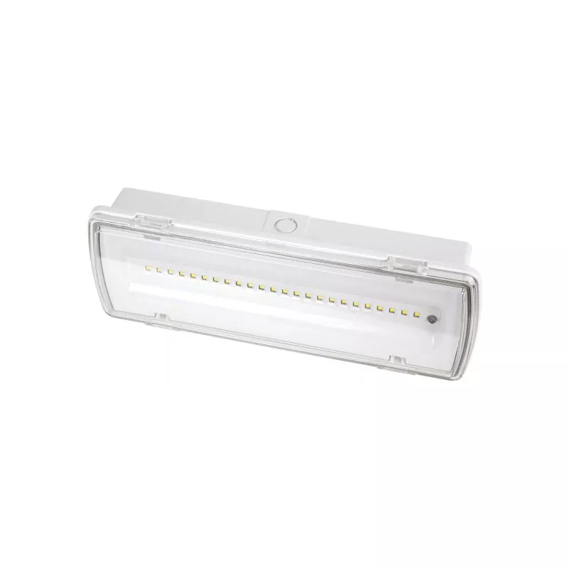 Luz De Emergencia No Permanente 5w 4000k Estanca Kenobi 400lm Ip65 27x10x5